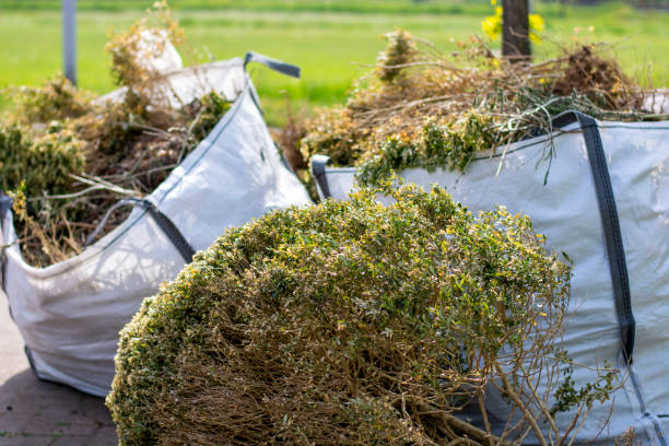 Best Commercial Cleanout Services  in Forest Park, GA